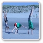 Ameland_2008/45