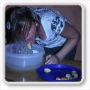 Ameland_2008/72